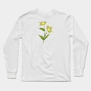 Daisy Plant 3 Botanical Long Sleeve T-Shirt